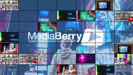 Découvrez nos offres pour animer vos écrans d'affichage dynamique avec notre solution 100% Web, MediaBerry Cloud.
